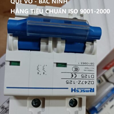 Át aptomat DC125A  20a  1P 2P dùng cho ắc quy và solar ISO9001-2015