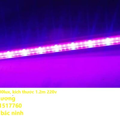 Đèn Led trồng rau, thực vật  T8 18w 36w 220v 1.2m chip led 2835